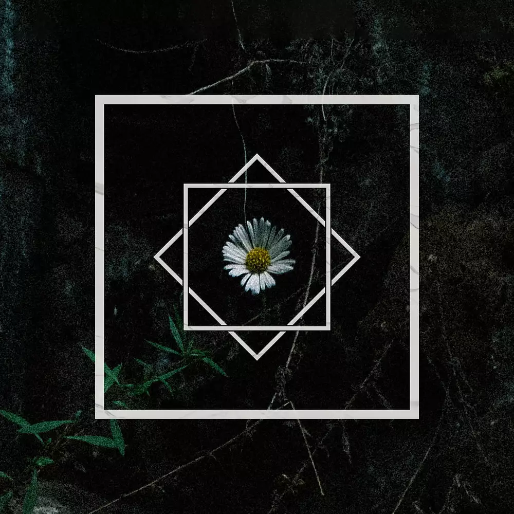 Flora Obscura