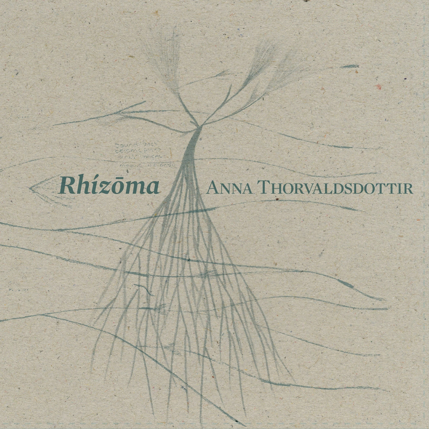 Rhizoma