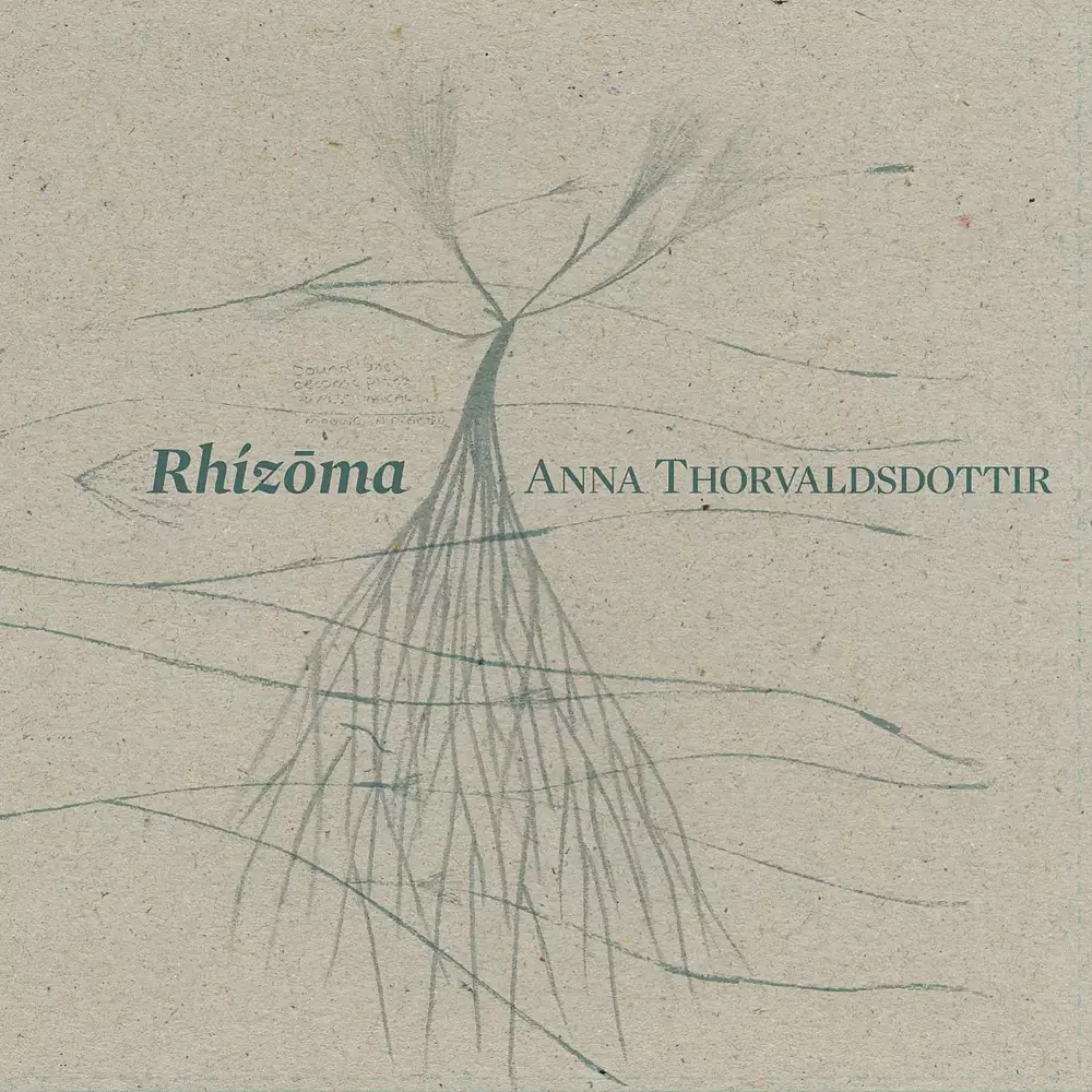 Rhizoma