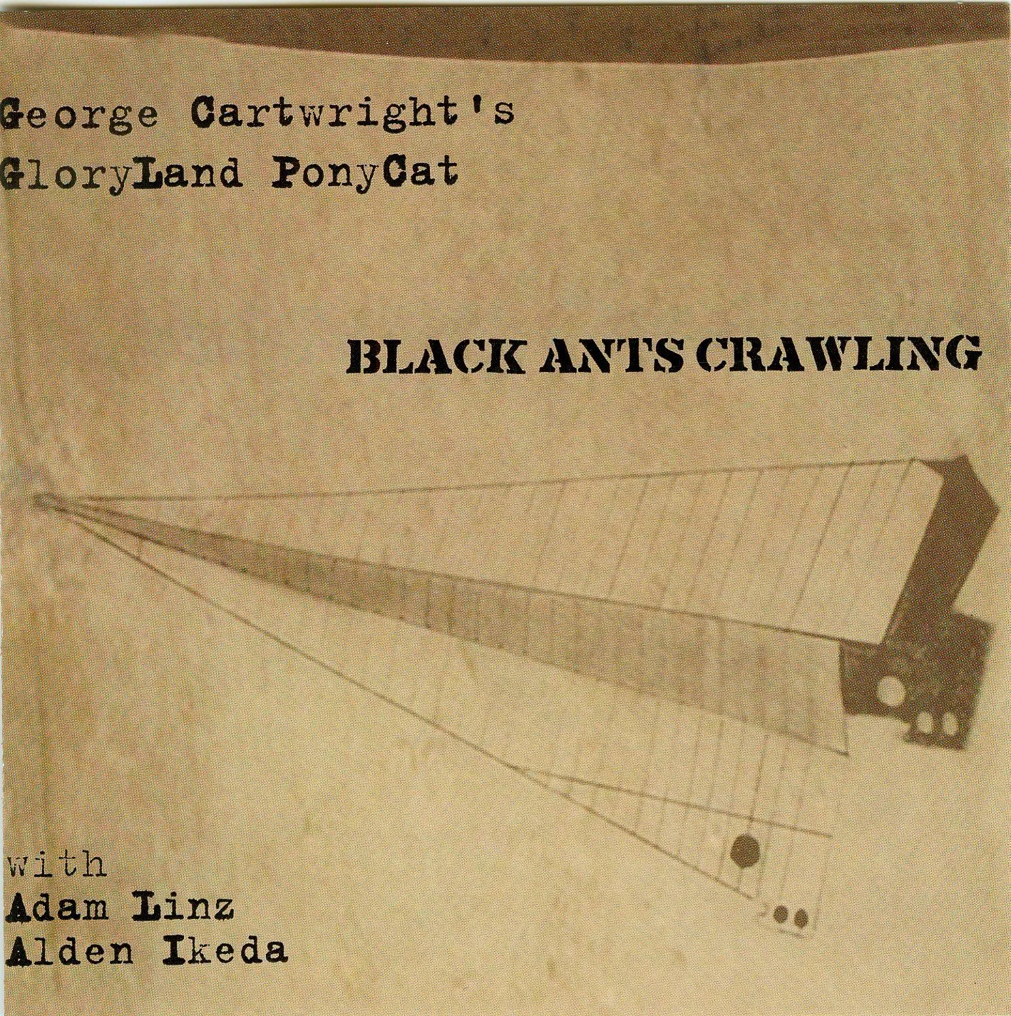 Black Ants Crawling