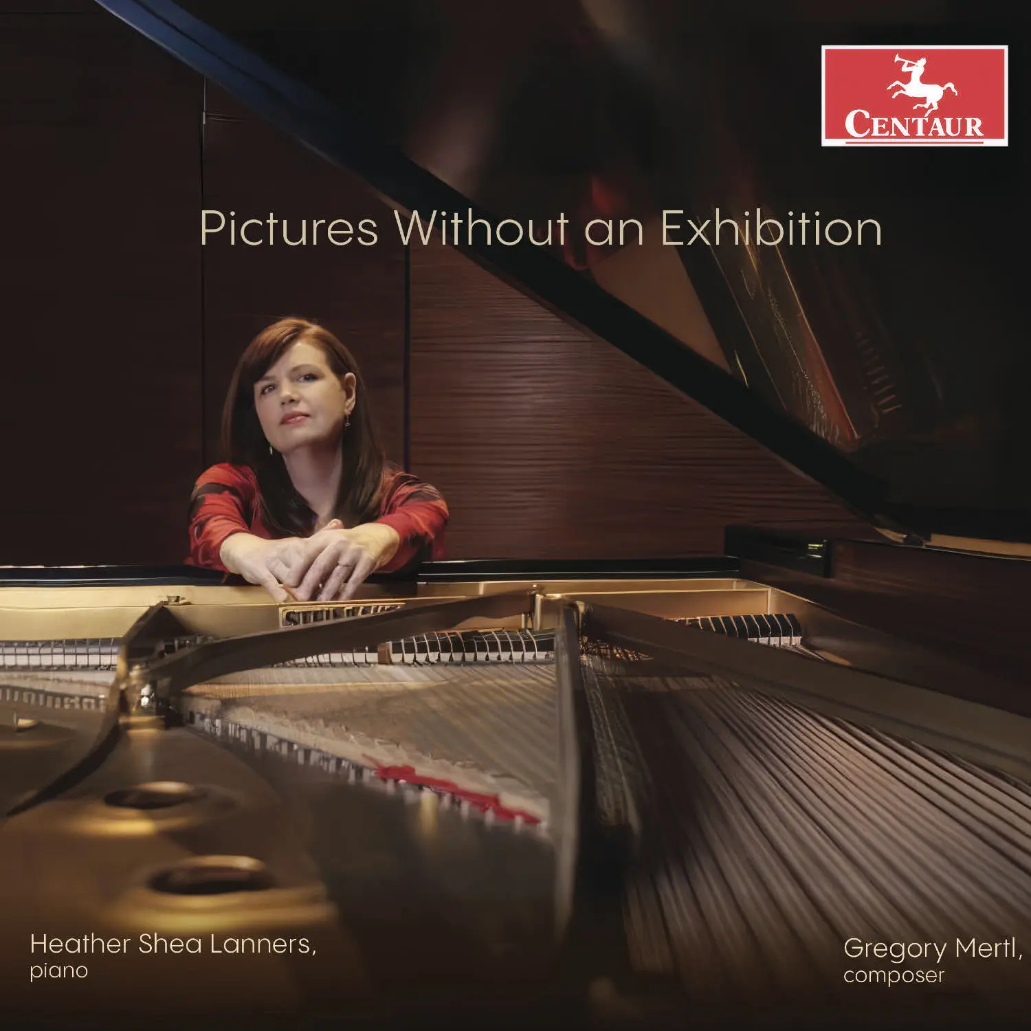 Pictures Without an Exhibition