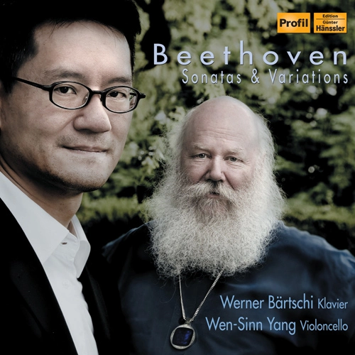 Beethoven: Sonatas & Variations