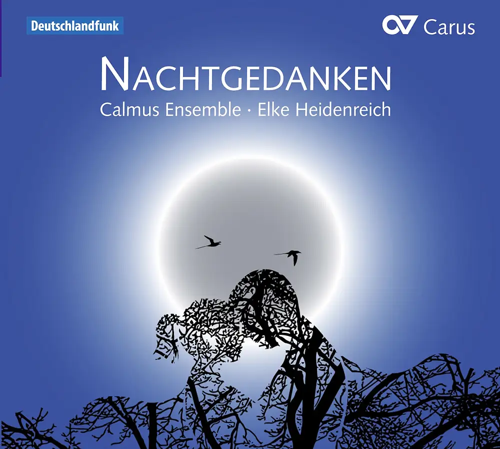 Nachtgedanken