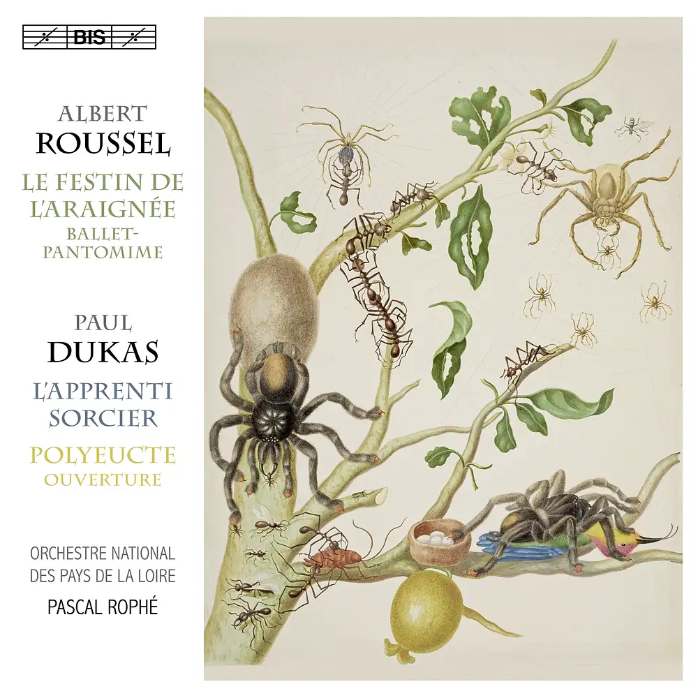 The Sorcerer’s Apprentice & The Spider’s Feast