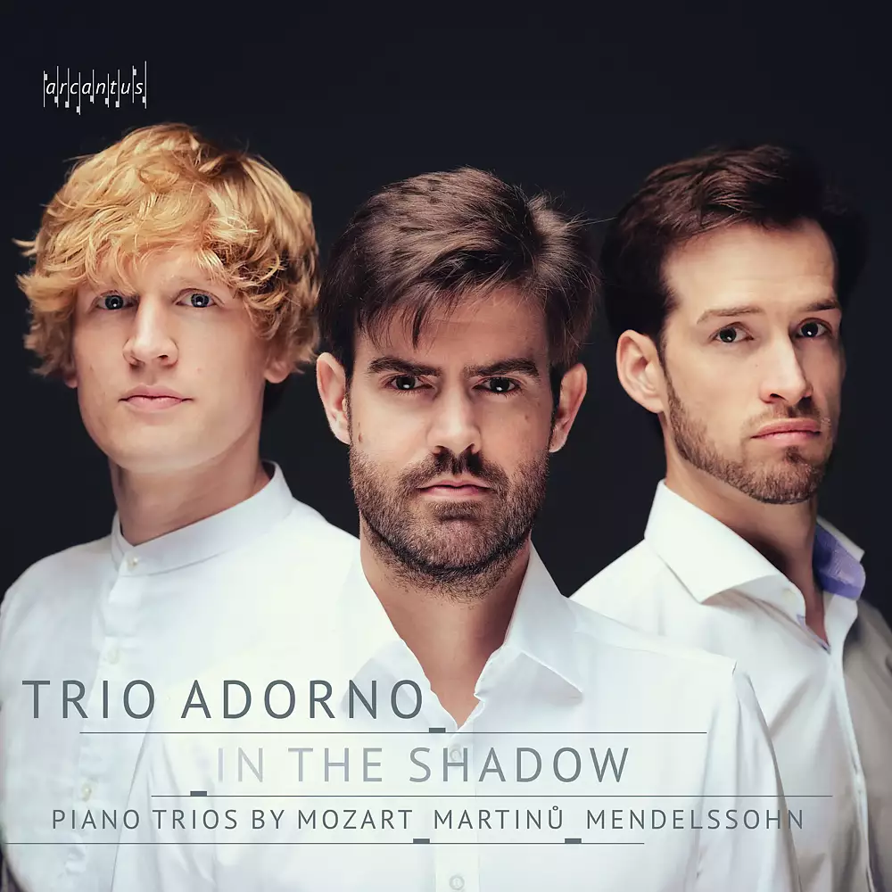 In the Shadow - Piano Trios
