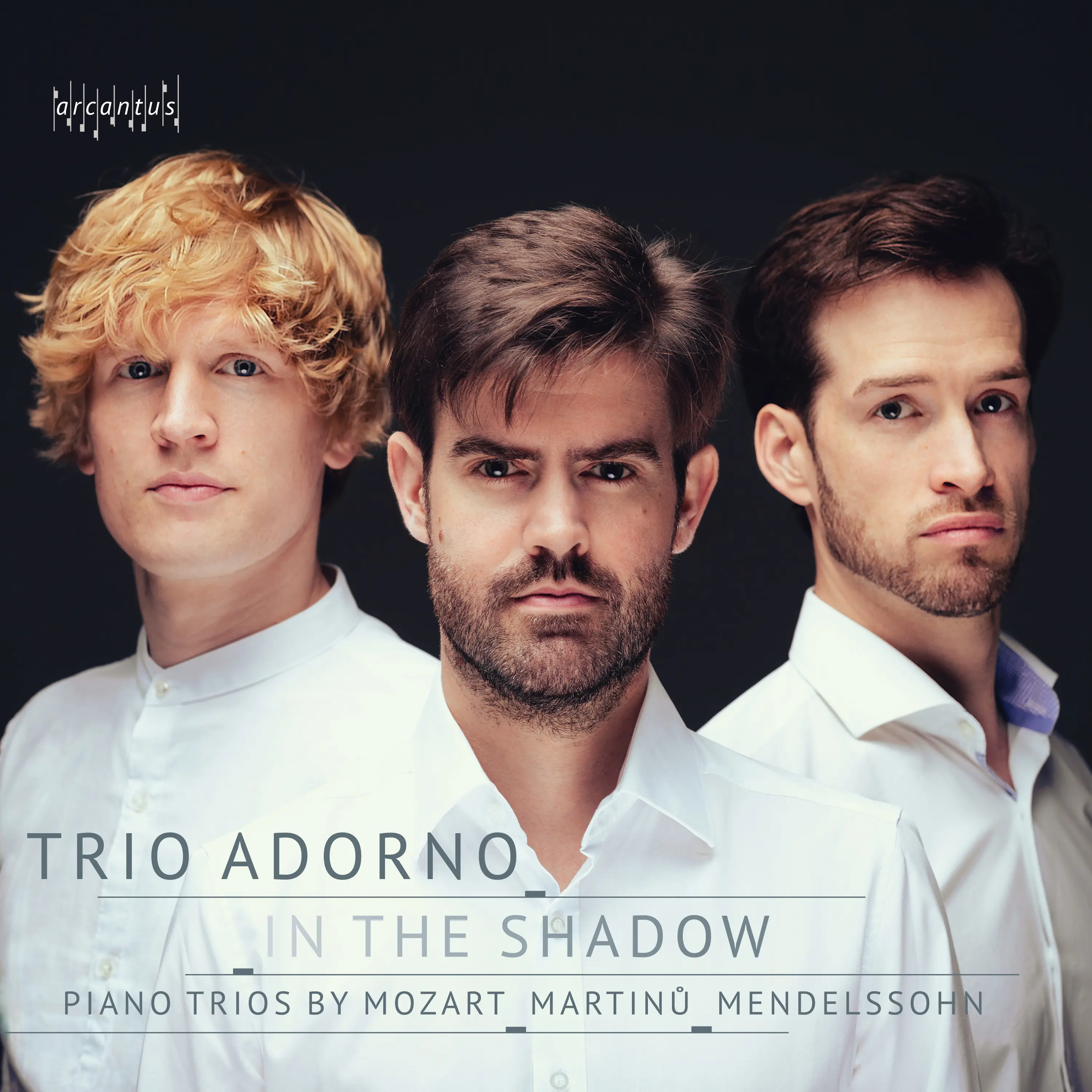 In the Shadow - Piano Trios