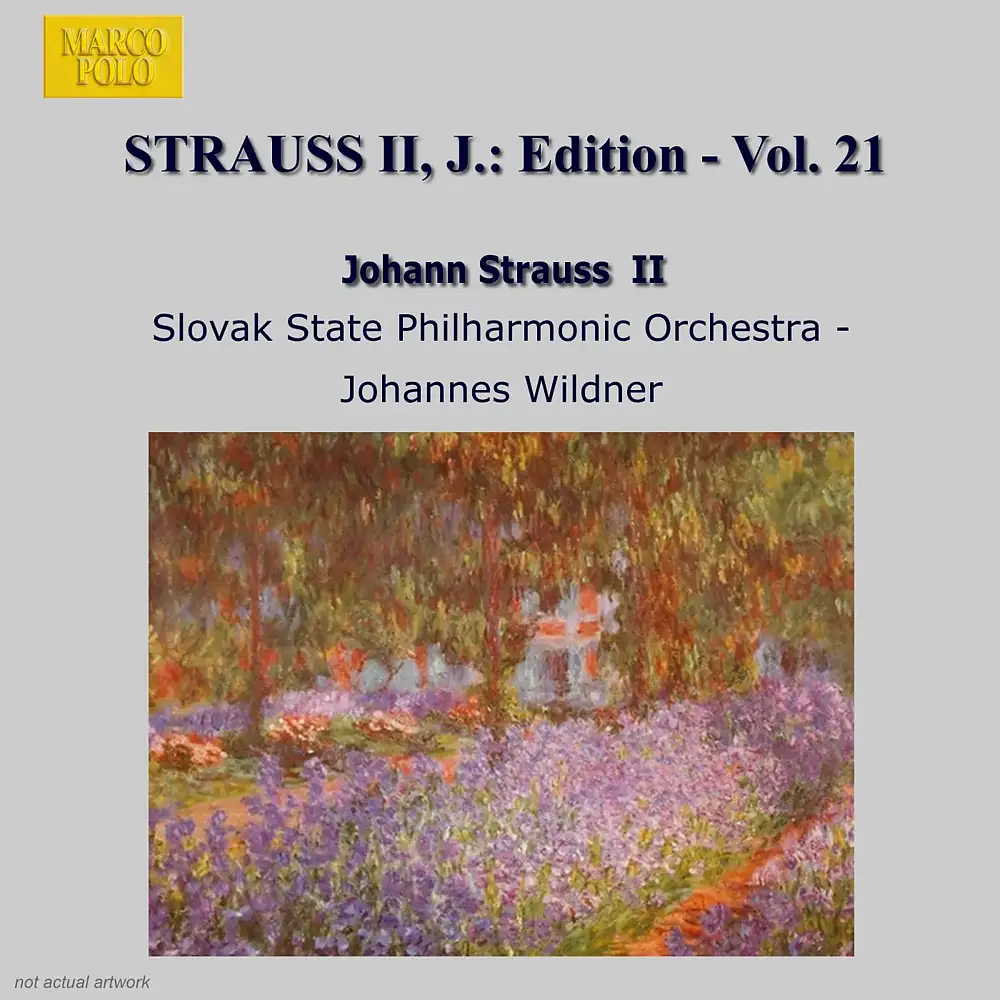 Strauss II, J.: Edition - Vol. 21