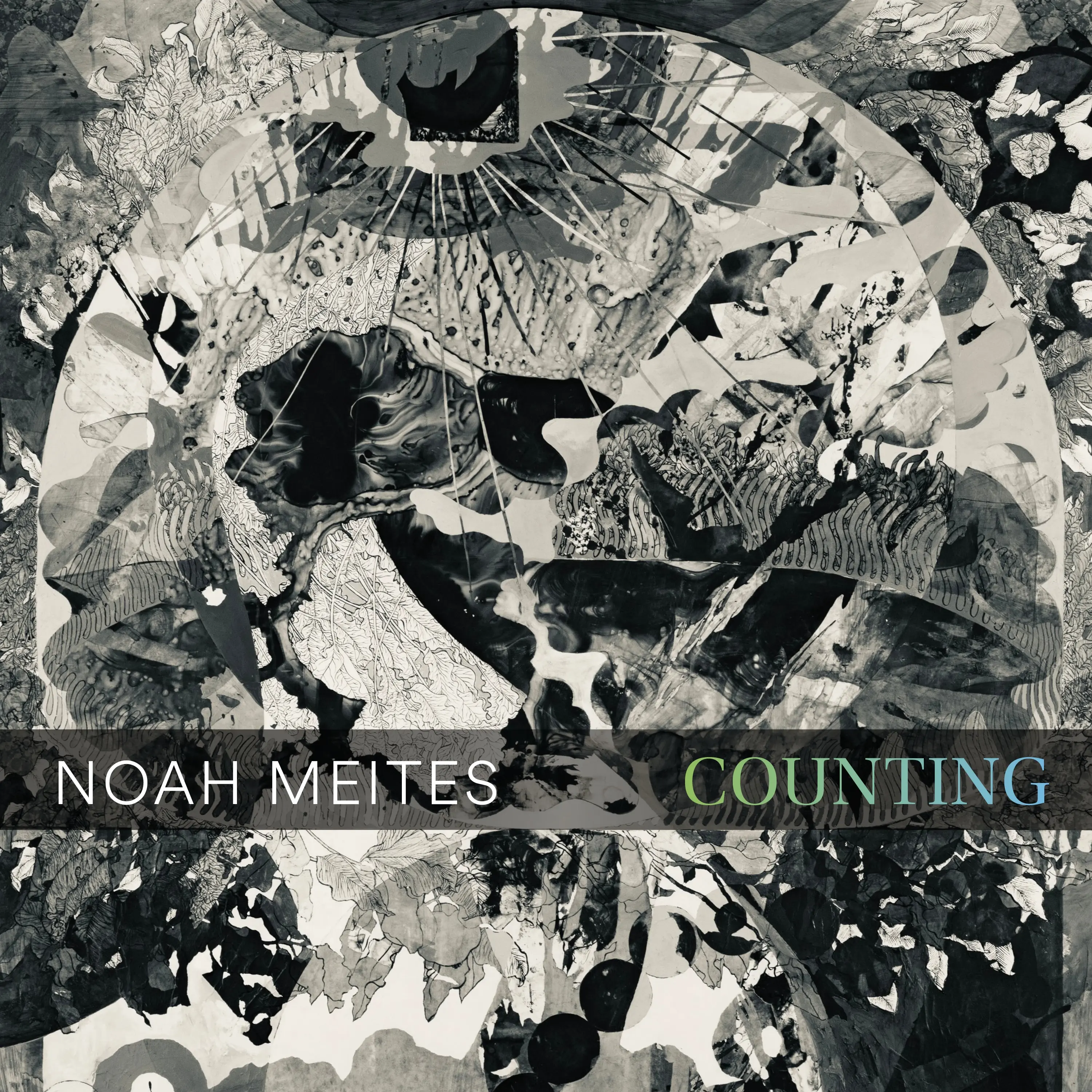 Noah Meites: COUNTING