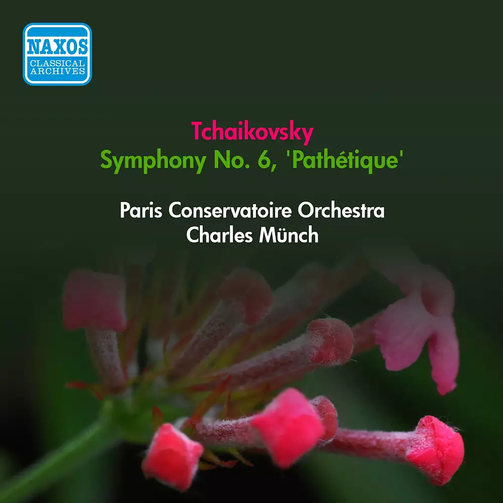 Tchaikovsky, P.I.: Symphony No. 6,