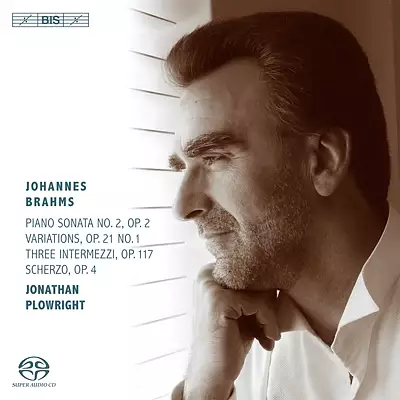 Brahms - Piano works vol. 2