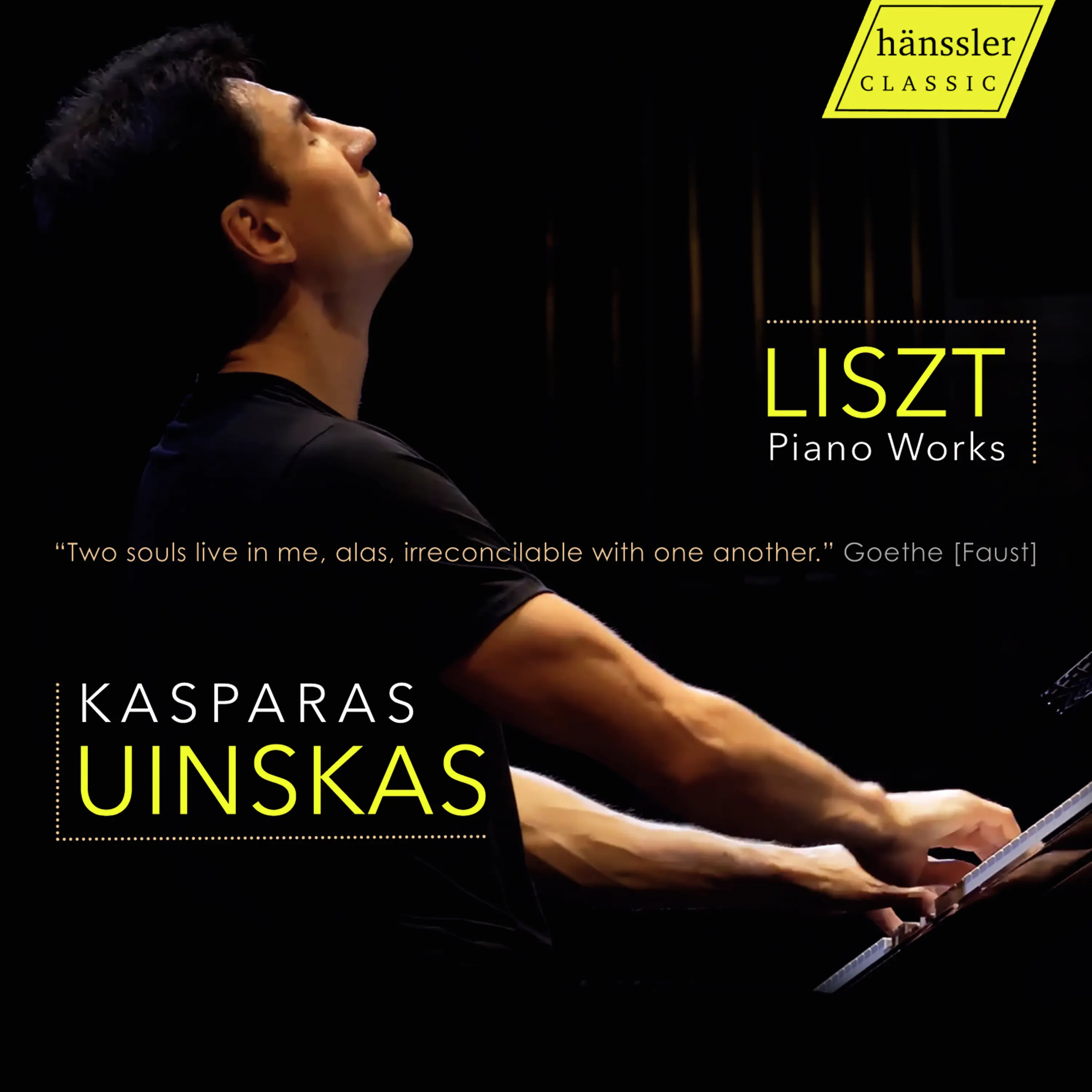 Liszt Piano Works