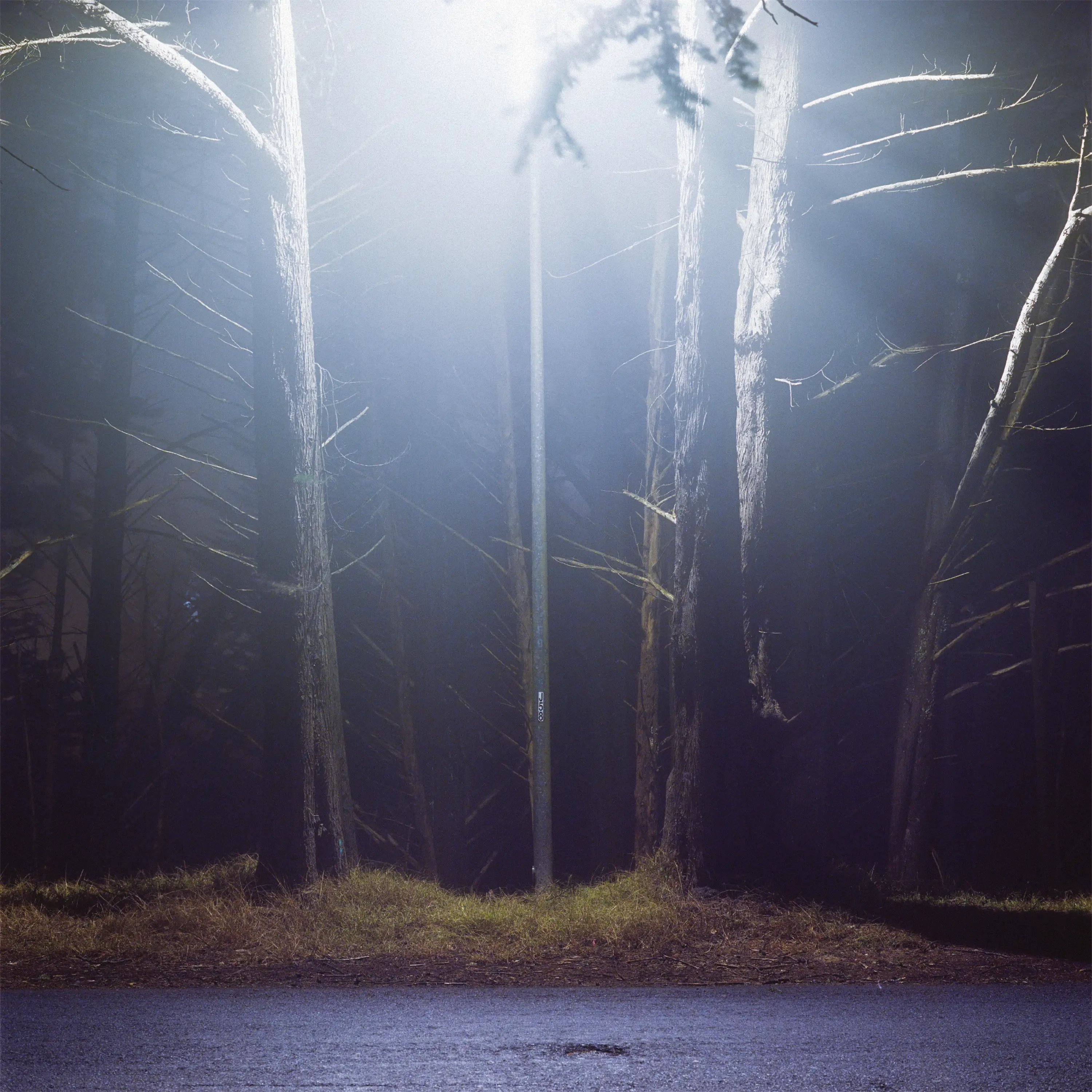 David Bird: Hinterlands