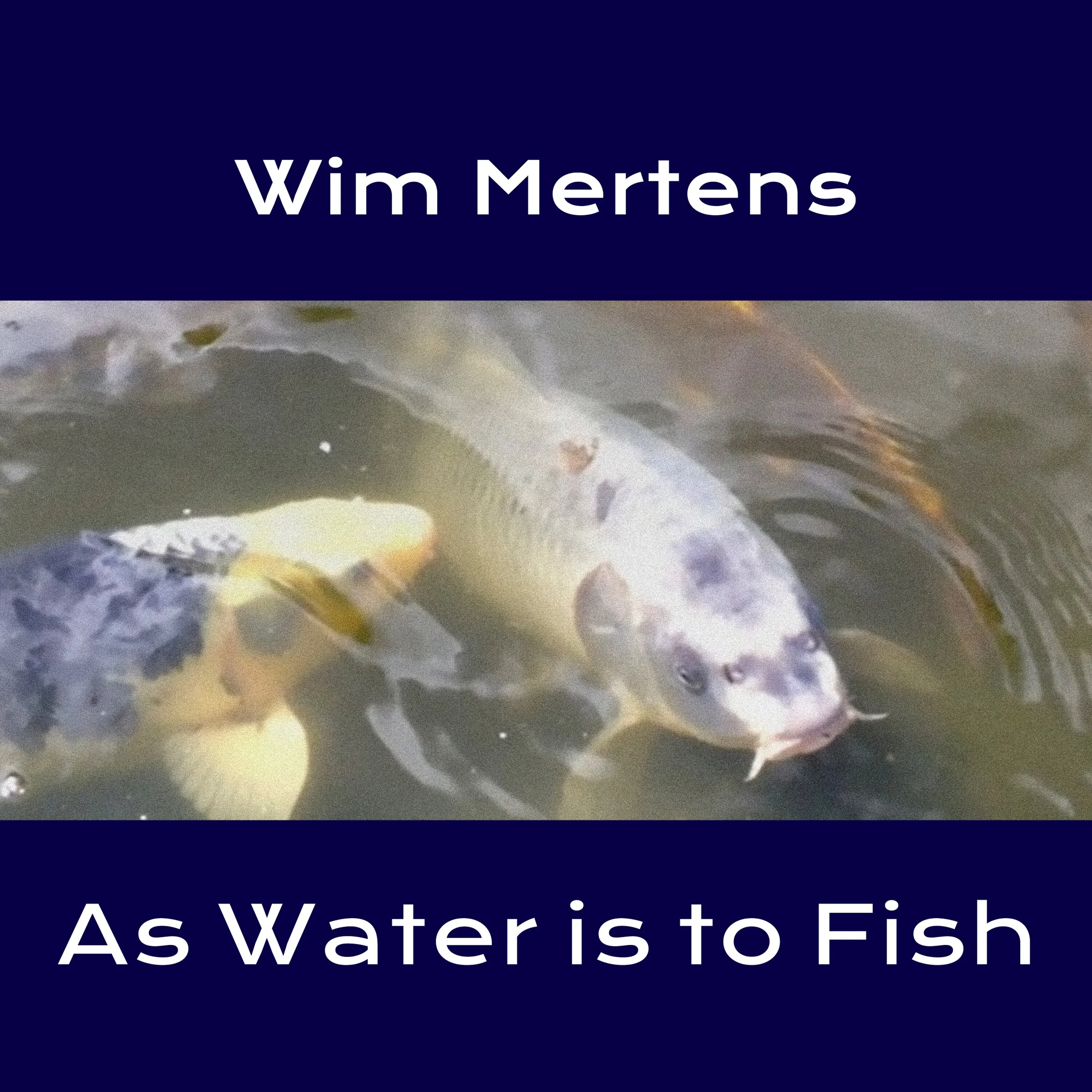 As Water is to Fish