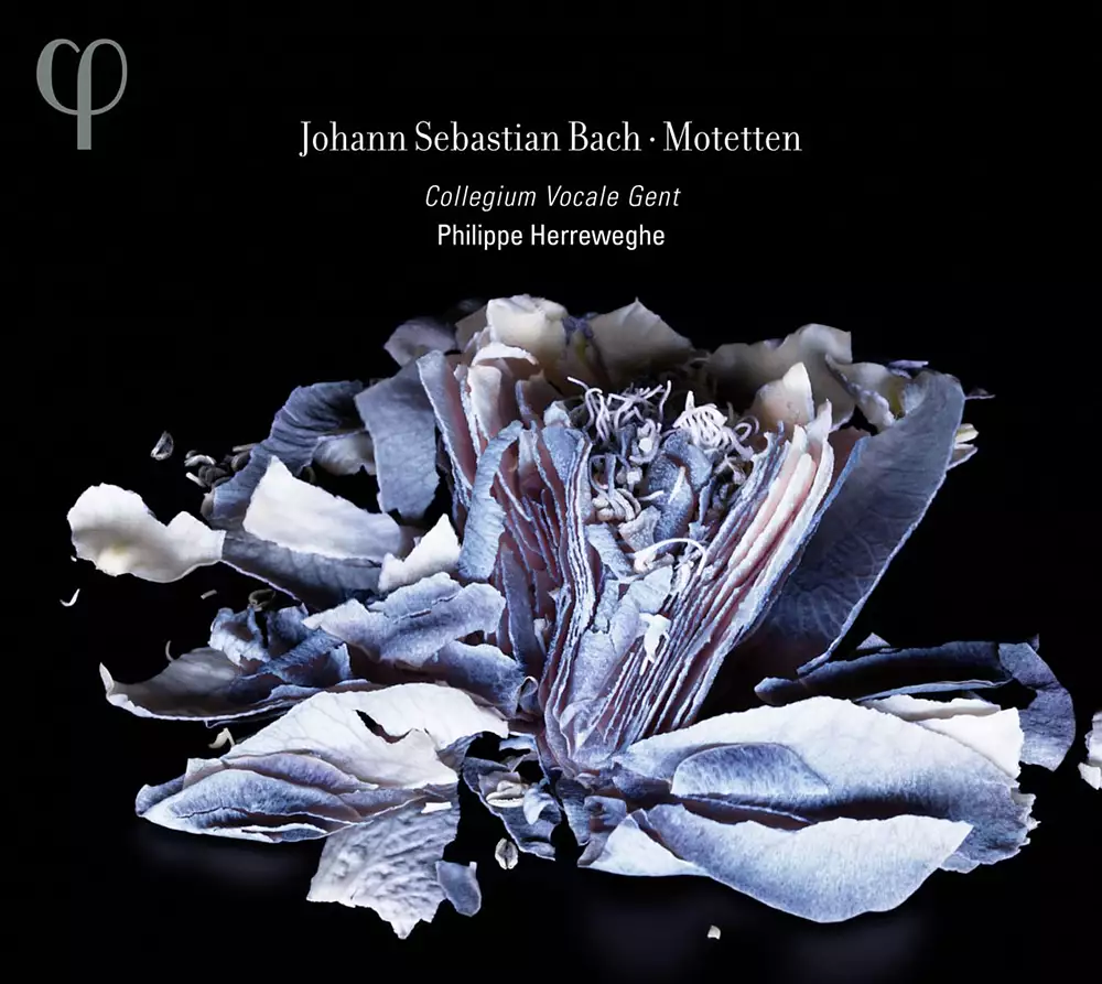 Bach: Motets