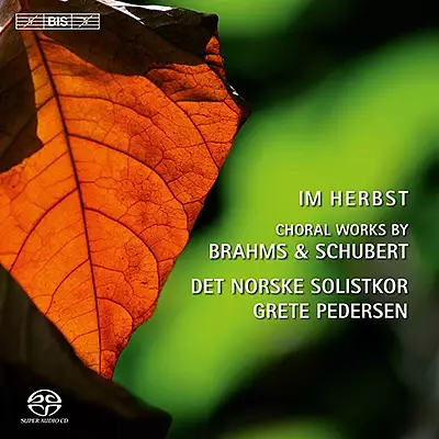 Im Herbst - choral works by Brahms and Schubert