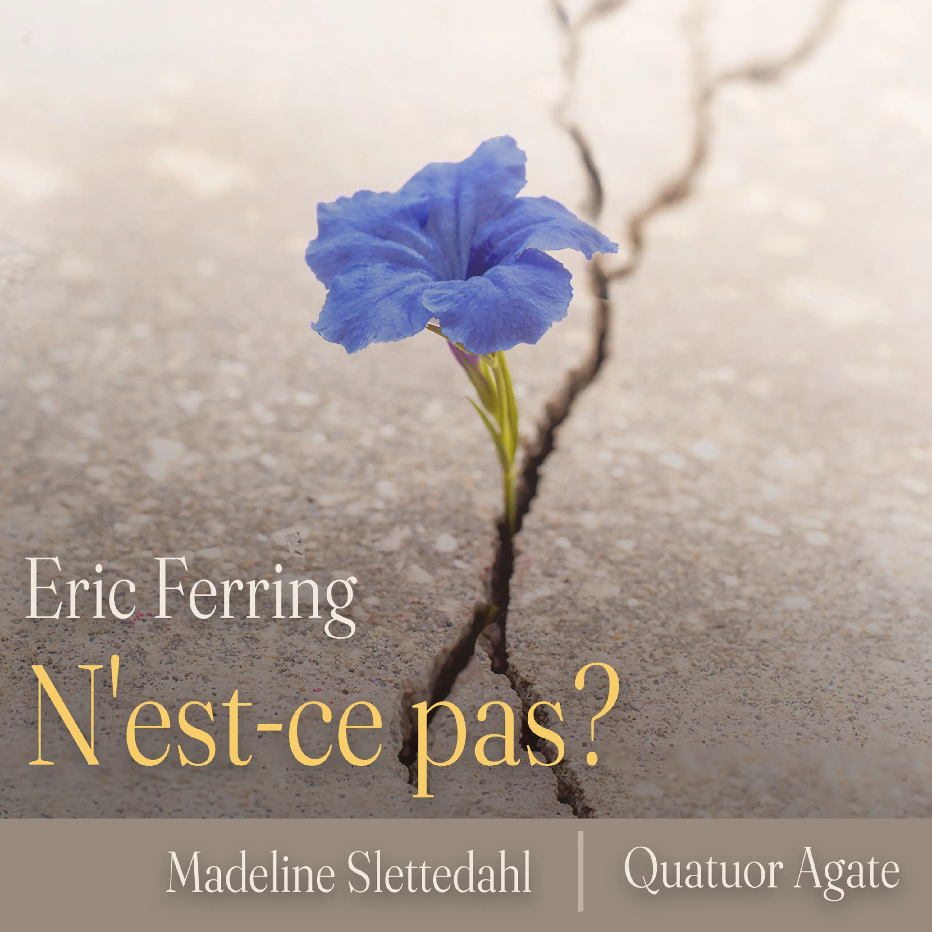 N'est-ce pas?