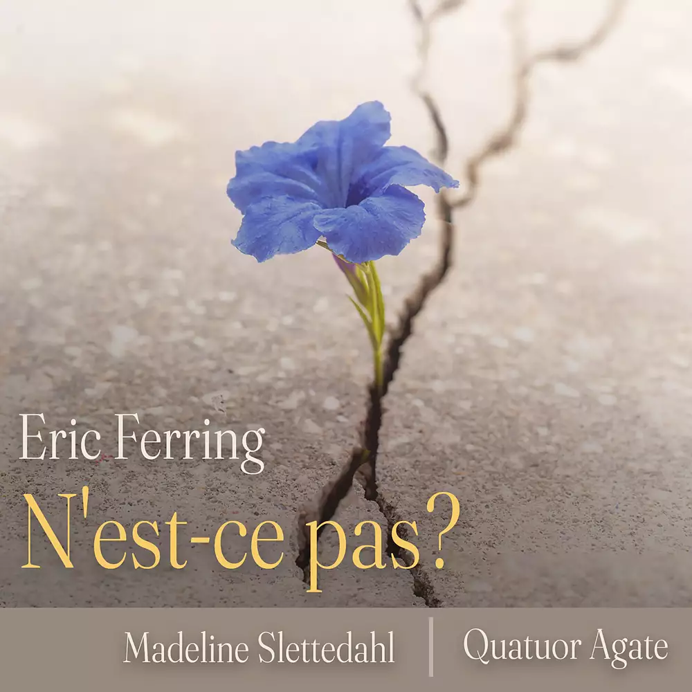 N'est-ce pas?