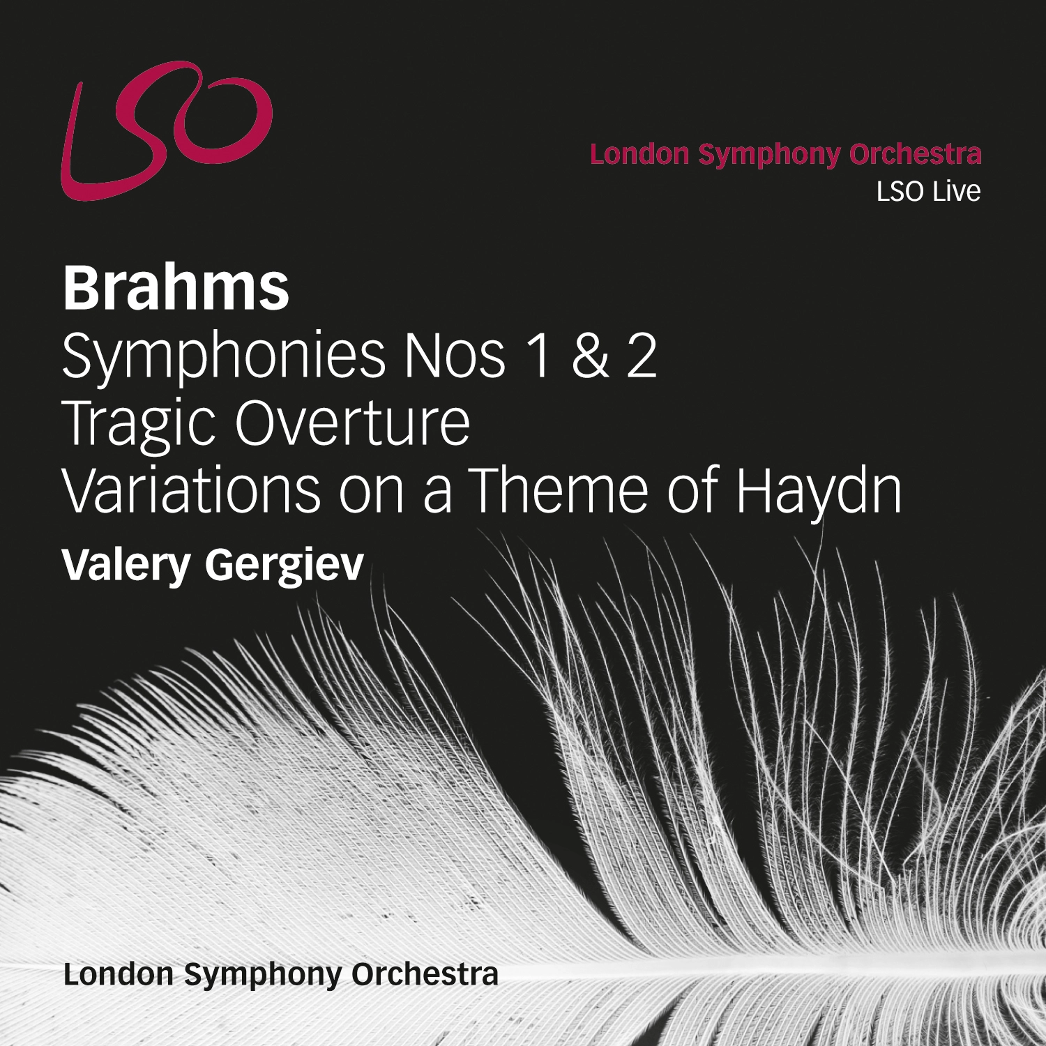 Brahms: Symphonies Nos. 1 & 2 - Tragic Overture - Variations on a Theme by Haydn