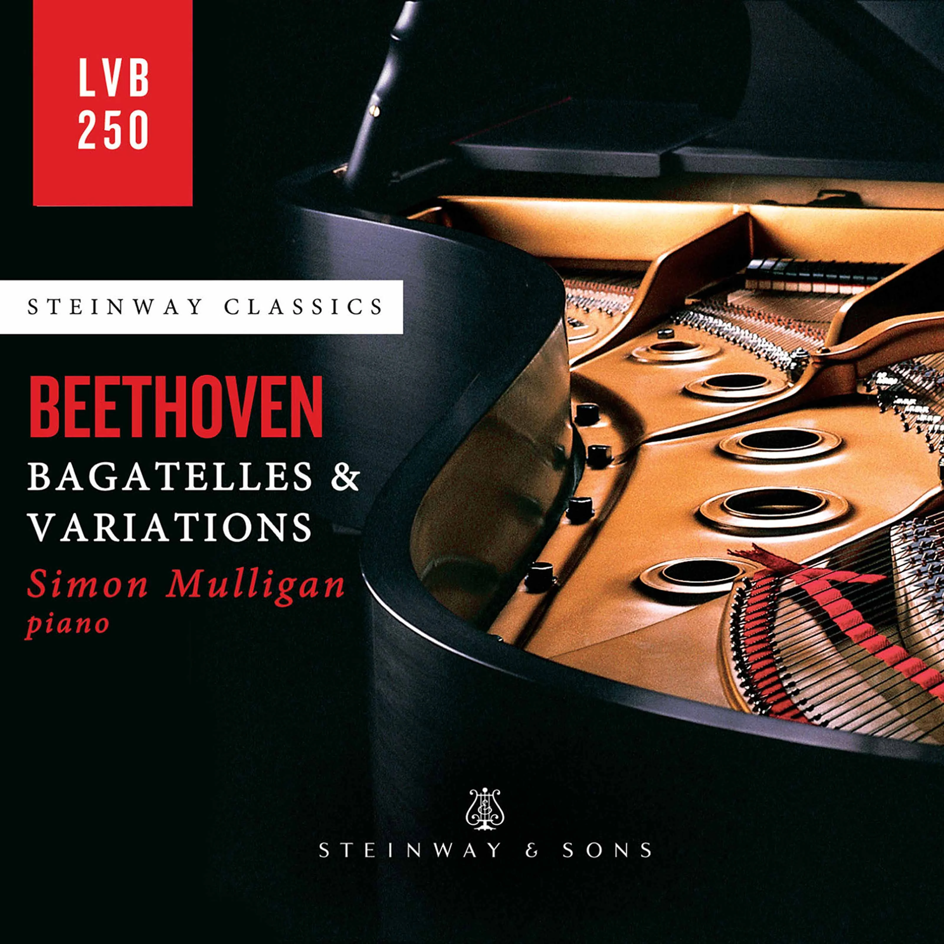 Beethoven: Bagatelles & Variations