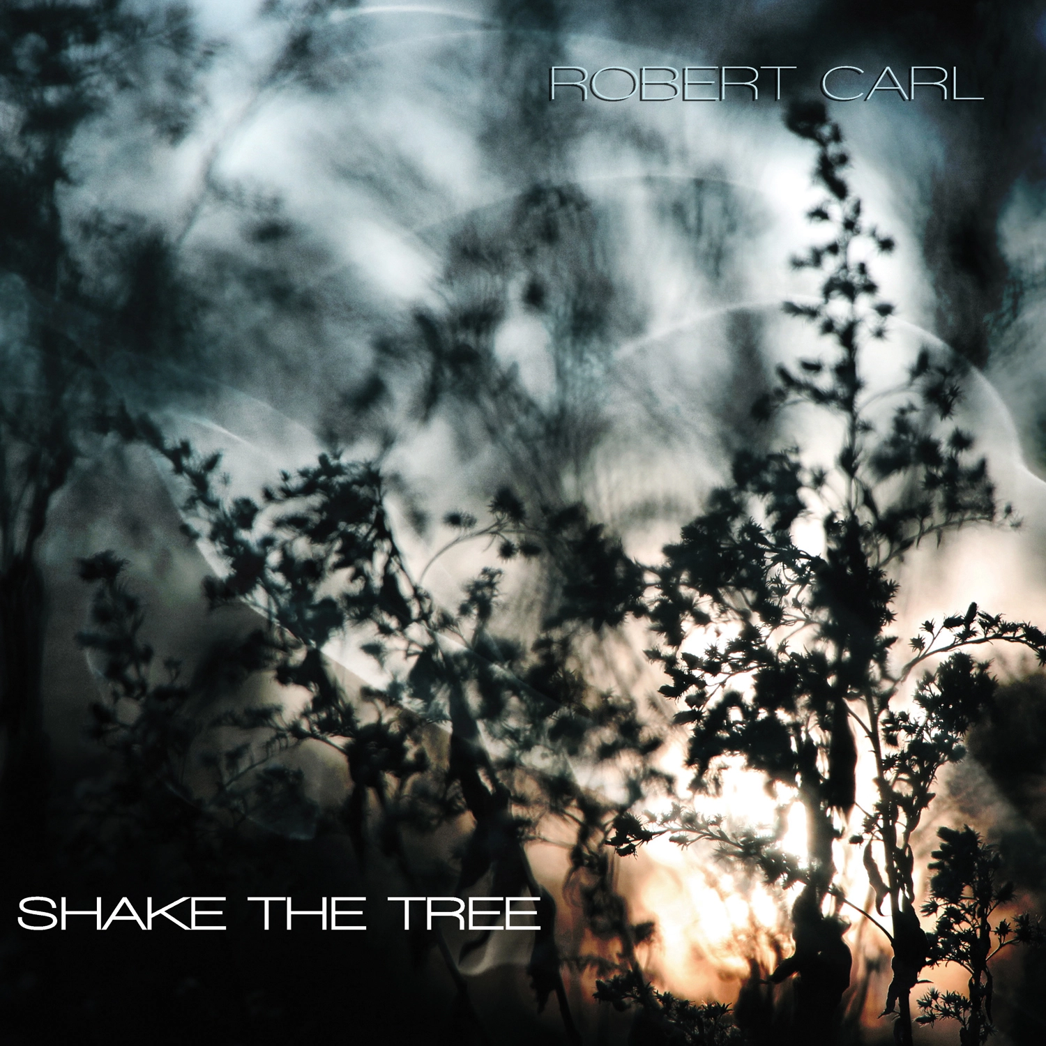 Carl: Shake the Tree