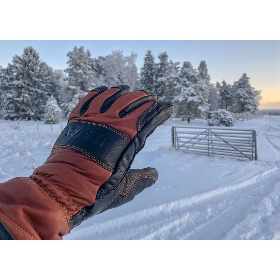 HESTRA Fält Guide Glove - 2