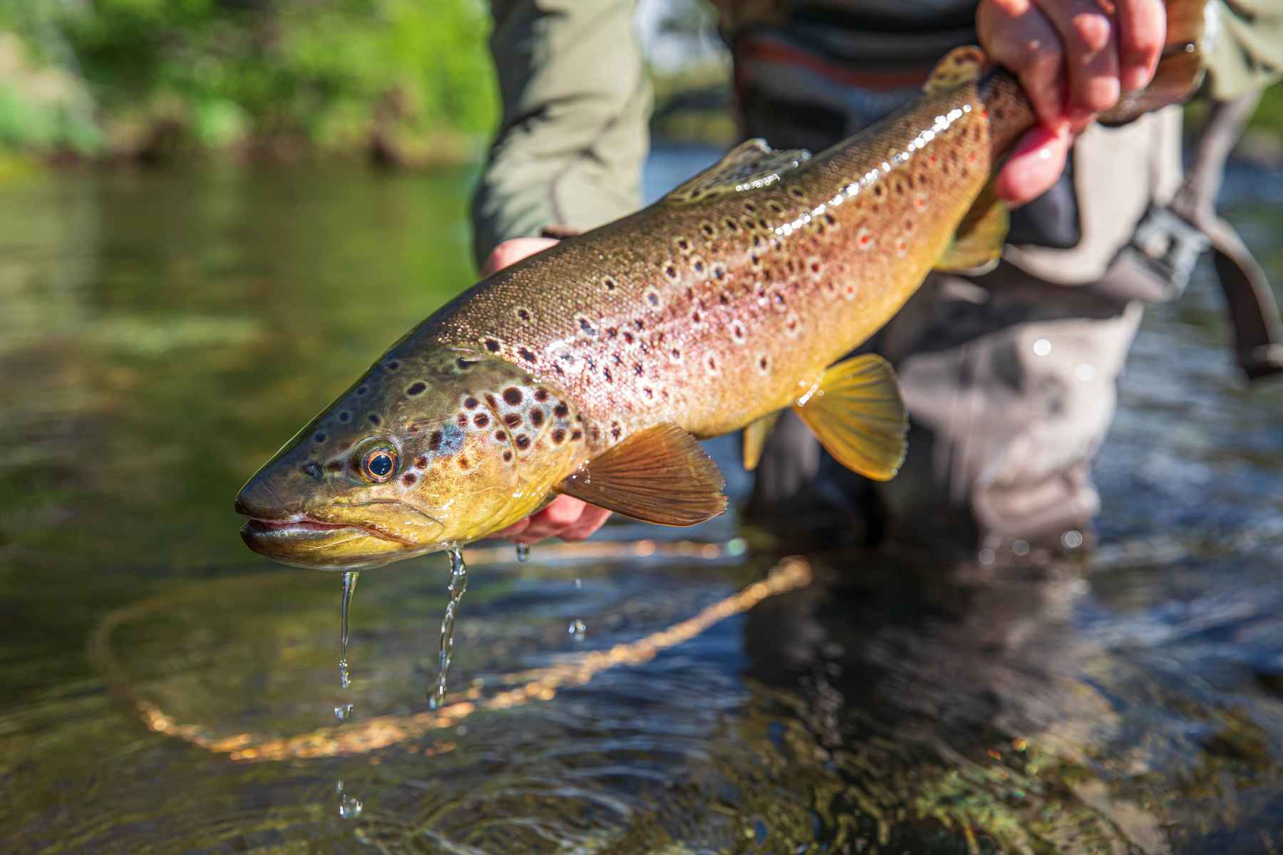 HÖSTFISKE BUTIKEN FYLLS MED NYHETER DAGLIGEN Handla Online