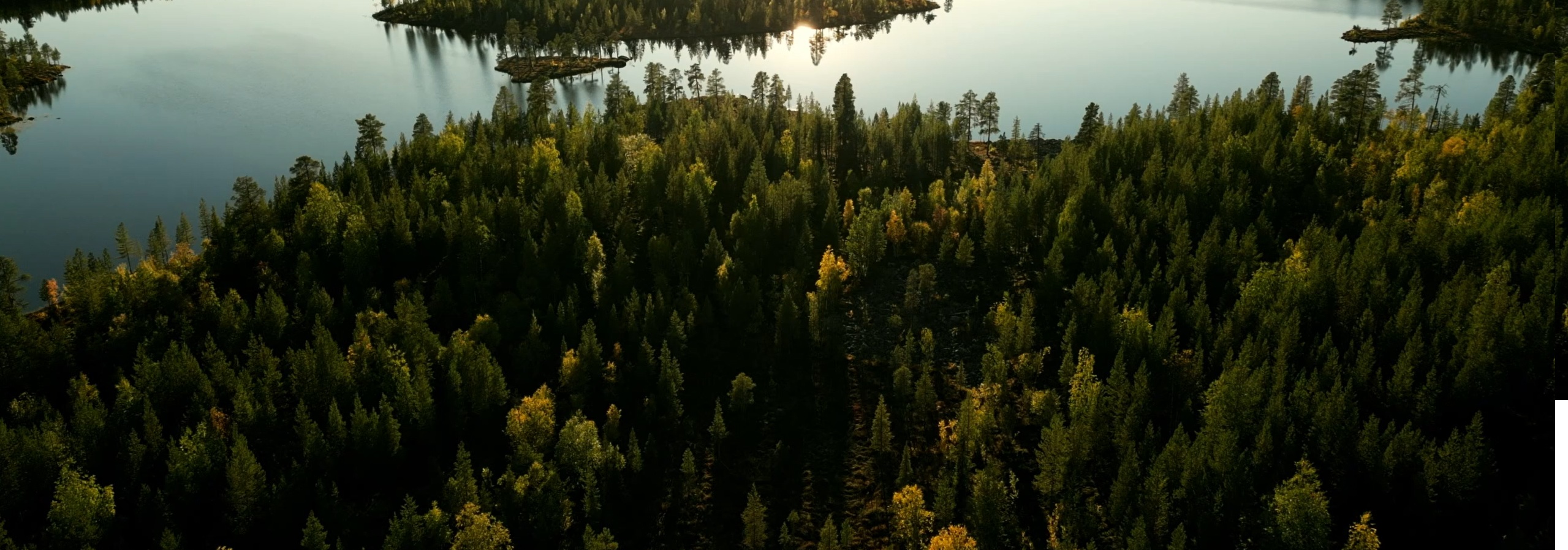 JOKKMOKK STAY - RETURN - MOVE UP TO Learn more