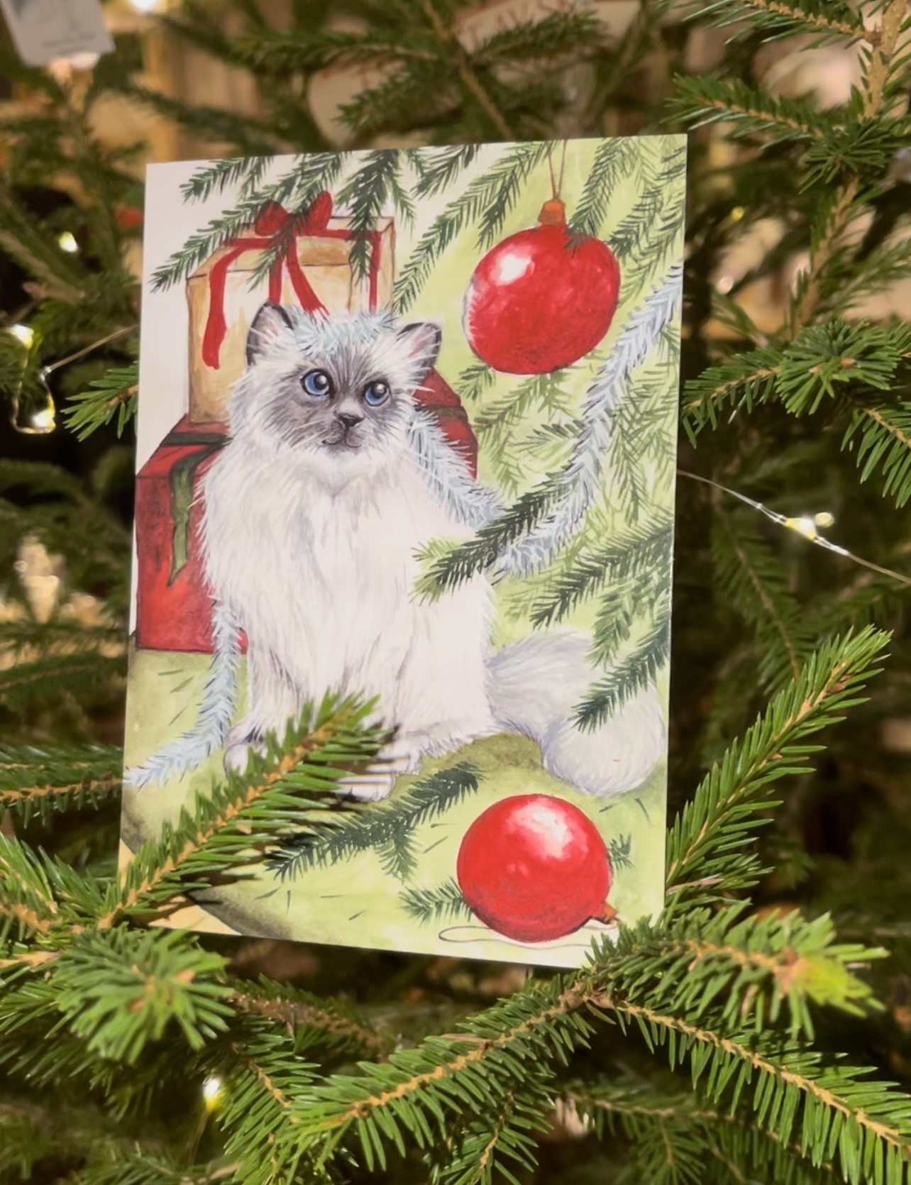 Julkort "Kattens julbus"  - 3