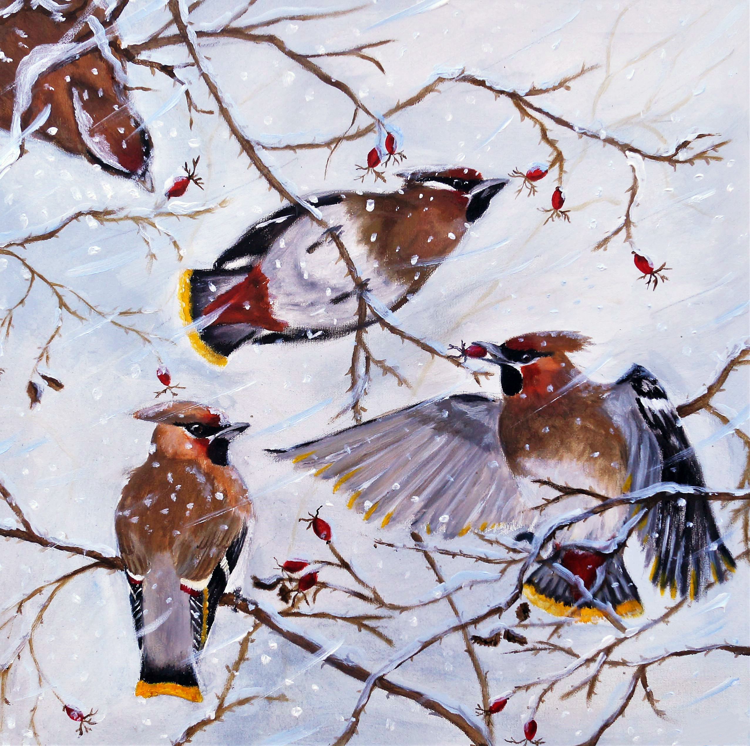 KORT MED KUVERT "VINTER - Sidensvans"