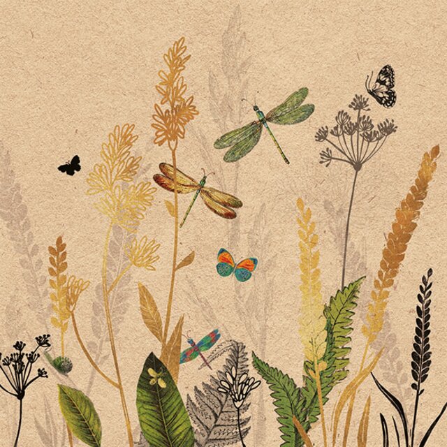 Servett - Ornamental Flowers Nature