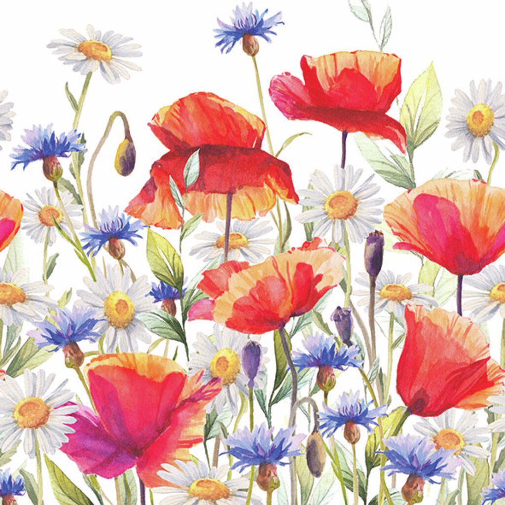 Kaffeservett - Poppies and cornflowers
