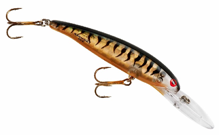 BOMBER DEEP LONG 25A 21gr 12cm - 11