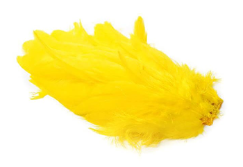 Hen Patches/Soft Hackles
