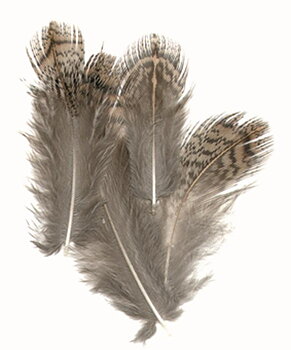 English Partridge - mix bag