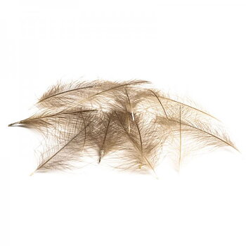 PETITJEAN CDC Feathers 1 gr