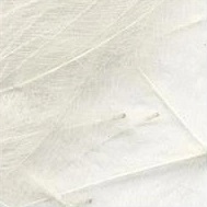 PETITJEAN CDC Feathers 1 gr - 3