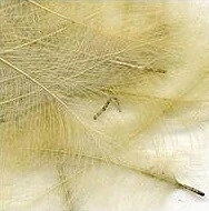 PETITJEAN CDC Feathers 1 gr