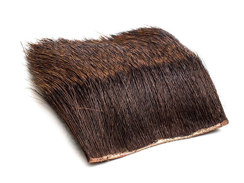 Deer Body Hair - 2