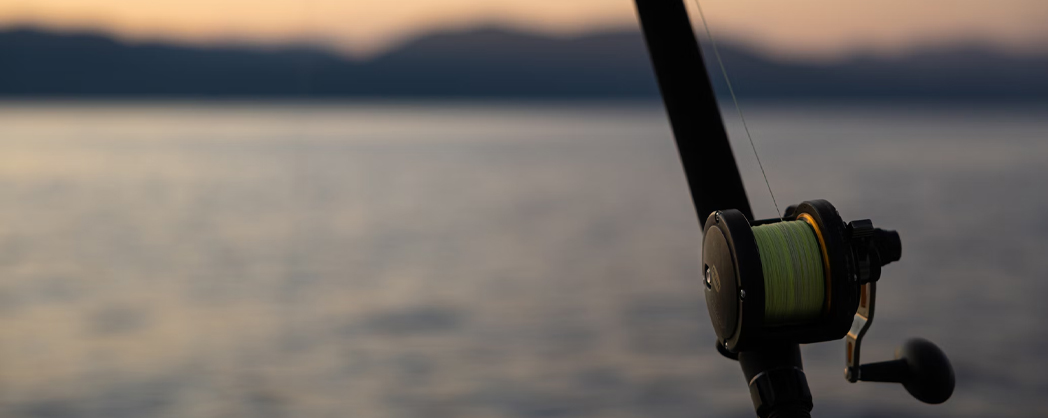 HAVSFISKE Ska du till Norge? Vi har beten för dig...