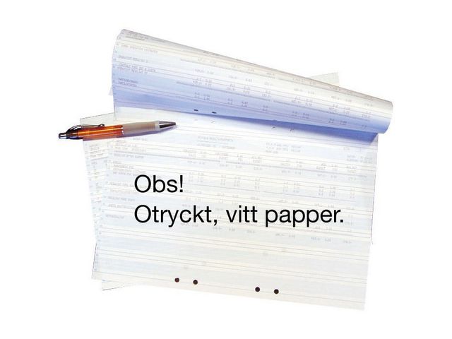 Datapapper otryckt 210x12' oh 2500/FP