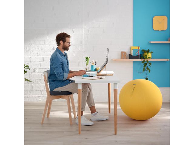 Sittkudde LEITZ Ergo Cosy - 4