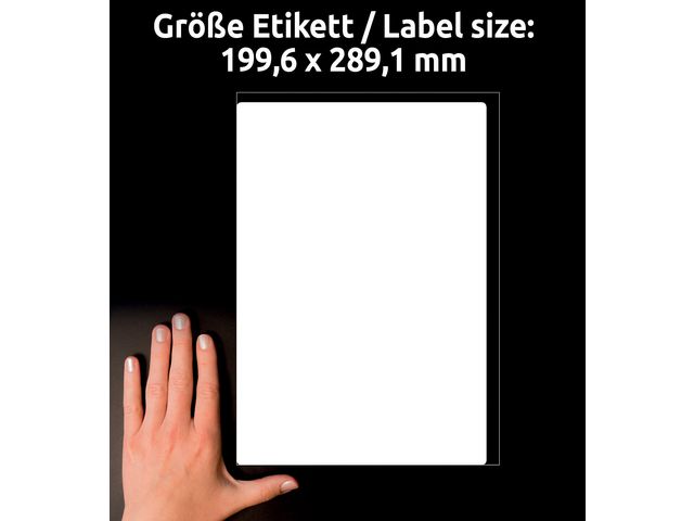 Etikett UltraGrip 199,6x289,1mm 100/FP - 4
