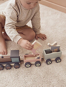 Tåg med djur Kids Concept