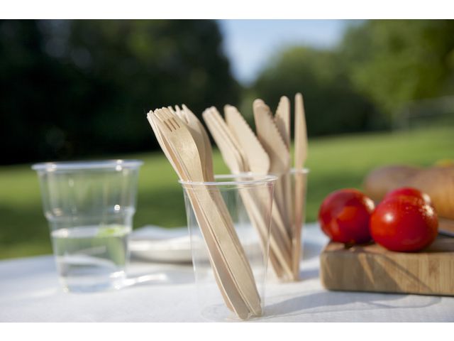 Bestick gaffel PURE FSC 16,5cm 100/fp - 2