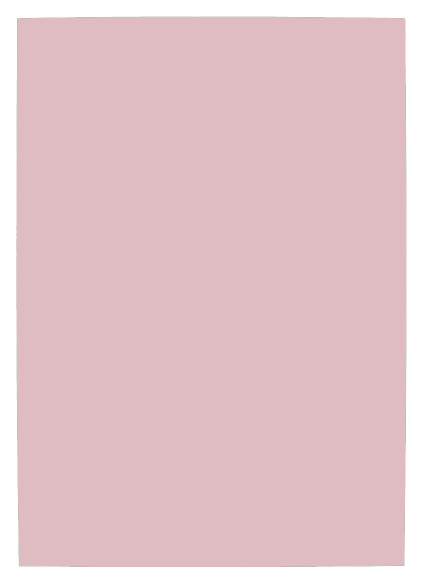 Dekorationskartong 46 x 64 cm 220 g Rosa 10/fp  