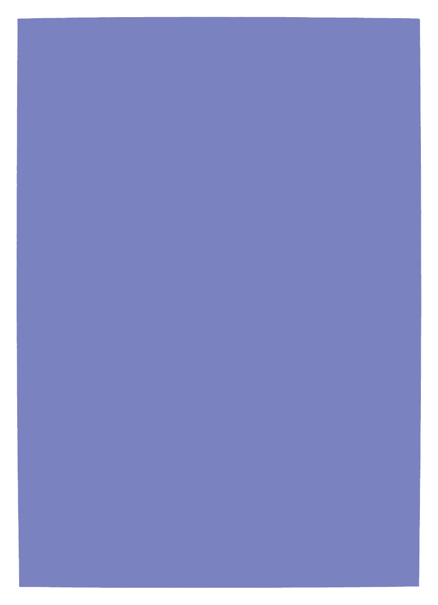 Dekorationskartong 46 x 64 cm 220 g Violett 10/fp  