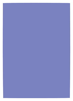 Dekorationskartong 46 x 64 cm 220 g Violett 10/fp  