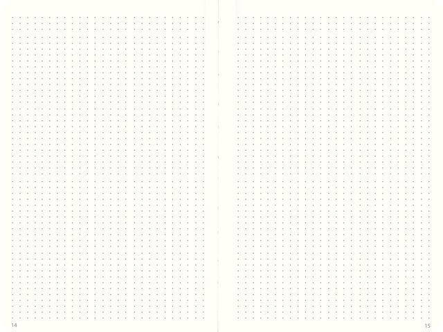 Anteckningsbok DotNotes FSC svart - 7