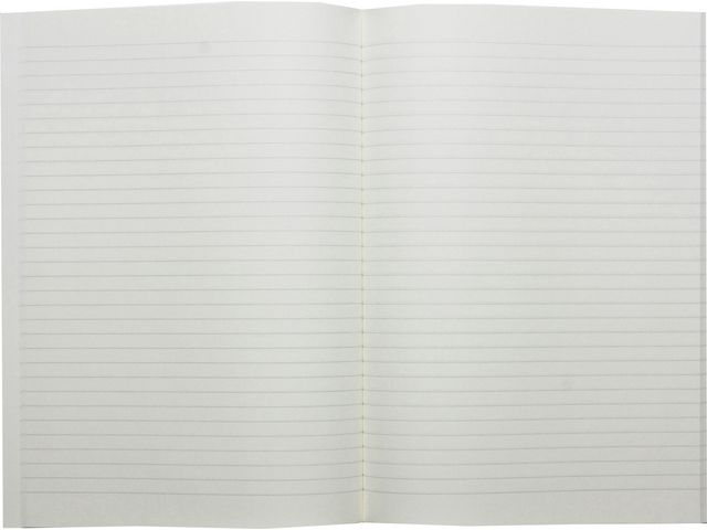 Kontorsbok A4,153A, linj 200 sidor - 3
