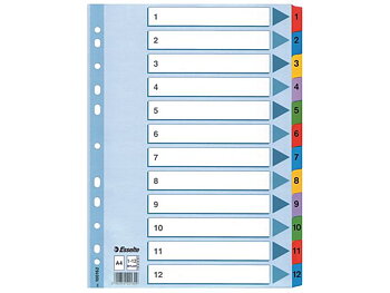 Register Mylar A4 1-12 multifärgat